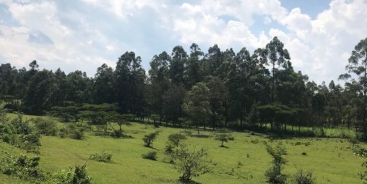 1/2 Acre Residential Land FOR SALE – Eldoret