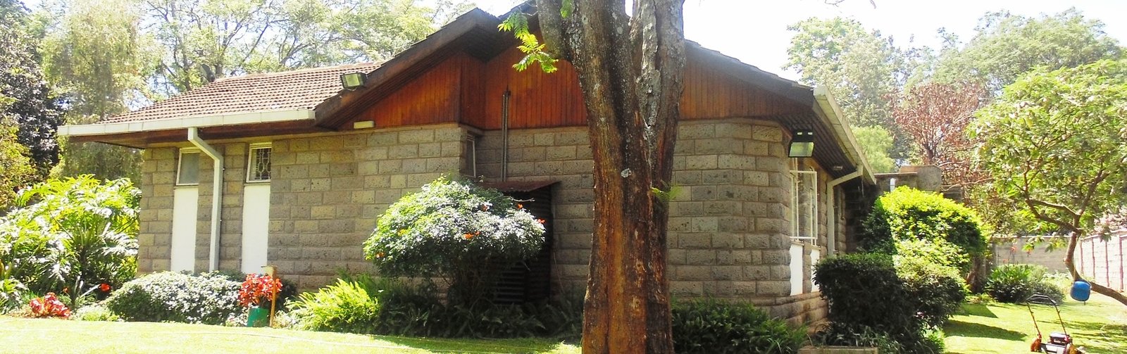 Property Maintenance