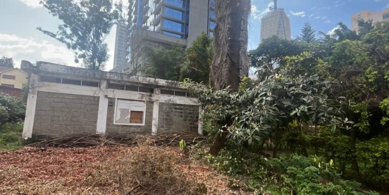 WhatsApp Image 2025-03-26 at 15.28.04_823dfe40