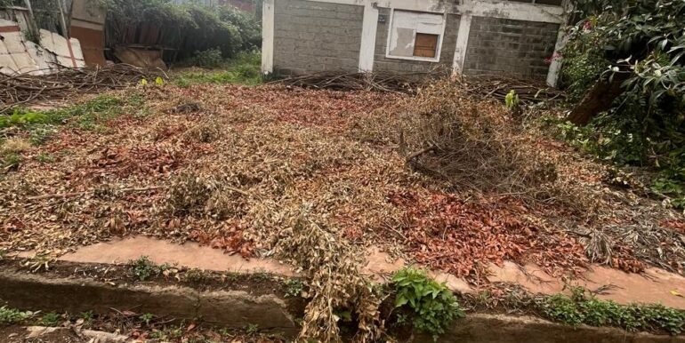 WhatsApp Image 2025-03-26 at 15.28.05_cb8e52e1