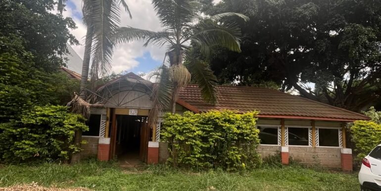 WhatsApp Image 2025-03-26 at 15.28.06_1779b1fe