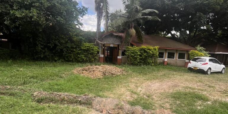 WhatsApp Image 2025-03-26 at 15.28.07_146269e5