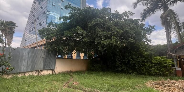 WhatsApp Image 2025-03-26 at 15.28.07_9a76e498