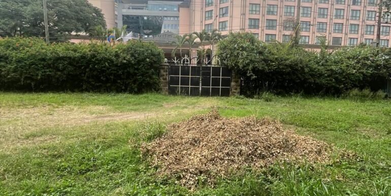 WhatsApp Image 2025-03-26 at 15.28.09_76952274