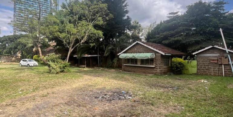 WhatsApp Image 2025-03-26 at 15.28.11_8399a4ba