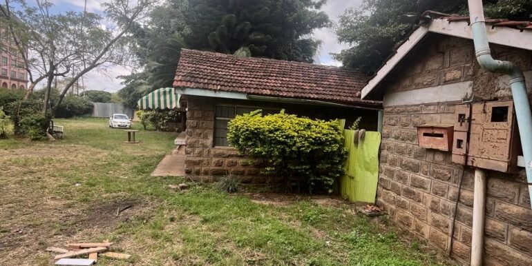 WhatsApp Image 2025-03-26 at 15.28.11_f00e3243