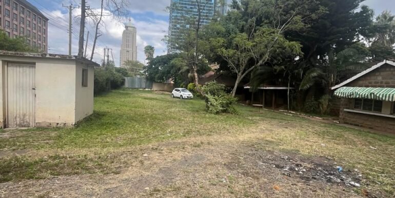 WhatsApp Image 2025-03-26 at 15.28.12_ab4d9e6f