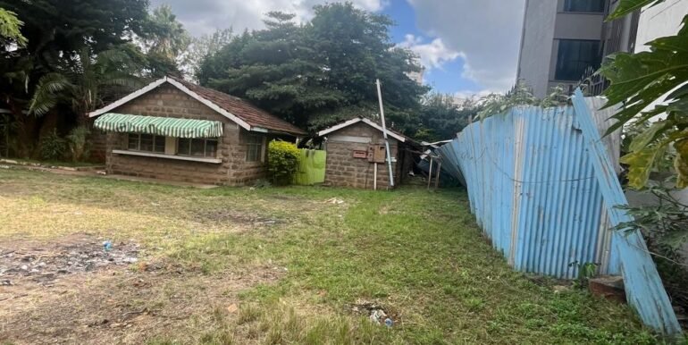 WhatsApp Image 2025-03-26 at 15.28.12_d56adf81