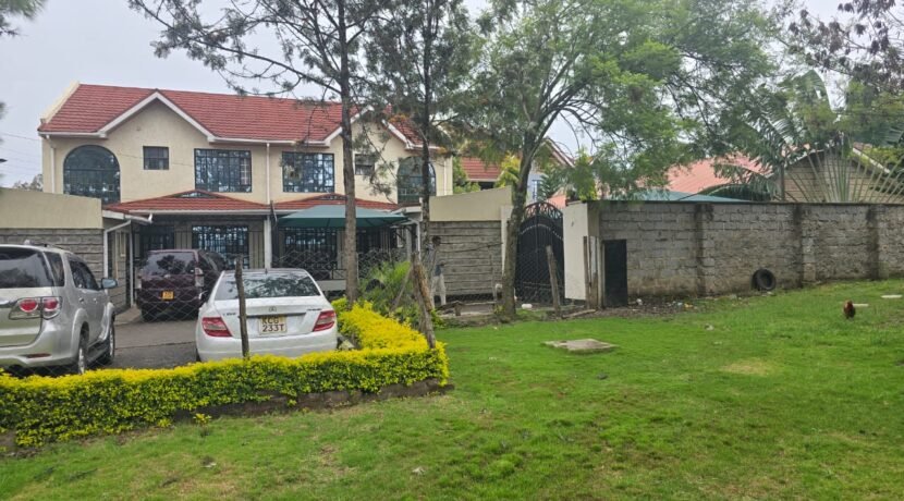 WhatsApp Image 2025-06-26 at 14.52.51_8d8043dd