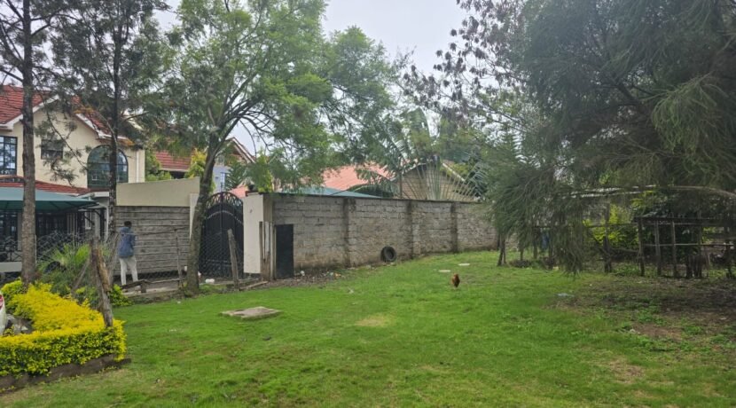 WhatsApp Image 2025-06-26 at 14.52.51_a38e3853