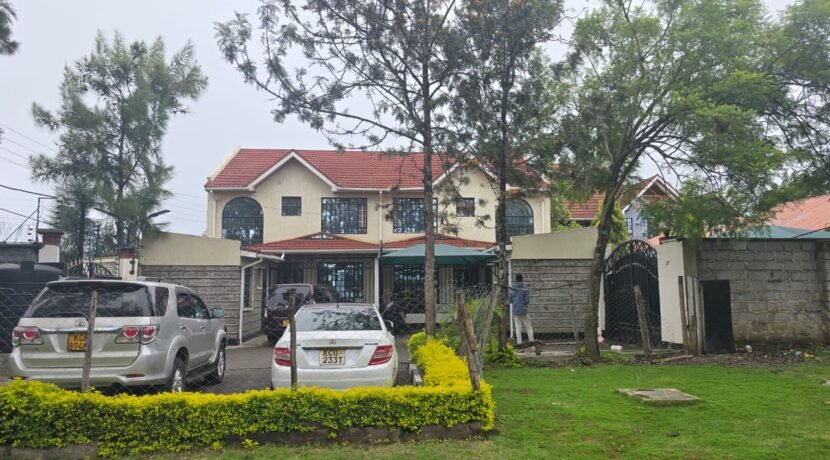 WhatsApp Image 2025-06-26 at 14.52.52_4893036a