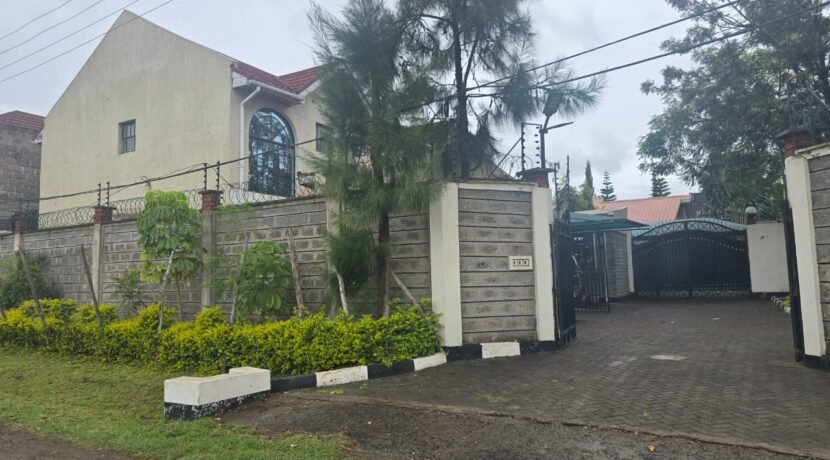 WhatsApp Image 2025-06-26 at 14.52.53_18198933