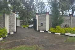 WhatsApp Image 2025-06-26 at 14.52.53_f197ee60