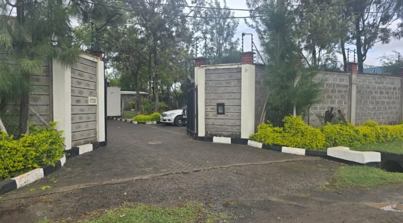 WhatsApp Image 2025-06-26 at 14.52.53_f197ee60