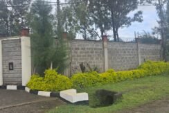 WhatsApp Image 2025-06-26 at 14.52.54_004f1c0a