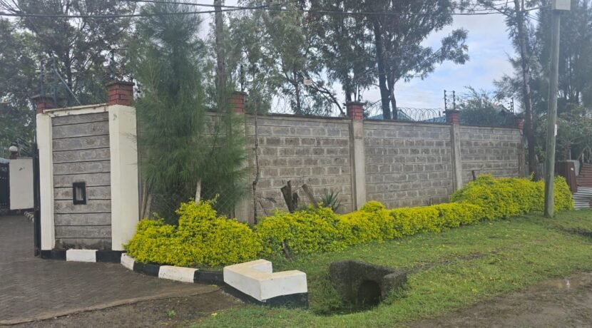 WhatsApp Image 2025-06-26 at 14.52.54_004f1c0a