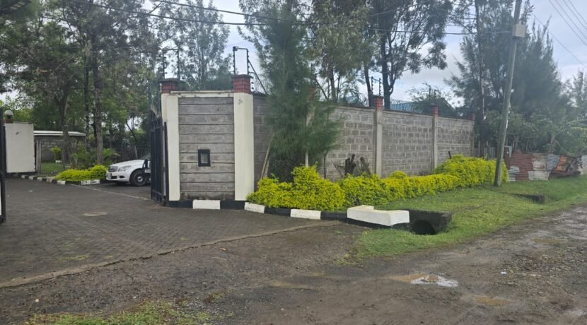 WhatsApp Image 2025-06-26 at 14.52.54_239b36d4