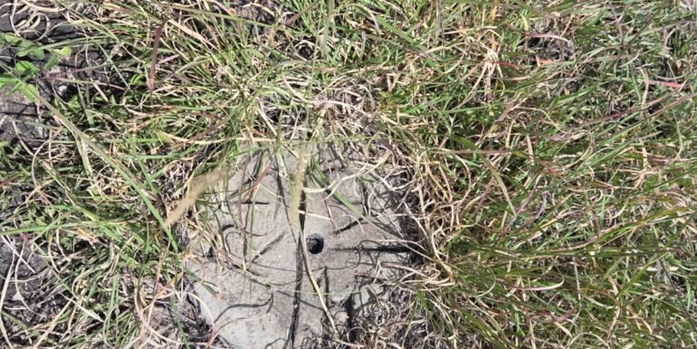 WhatsApp Image 2025-07-14 at 10.04.48_eff91fb0