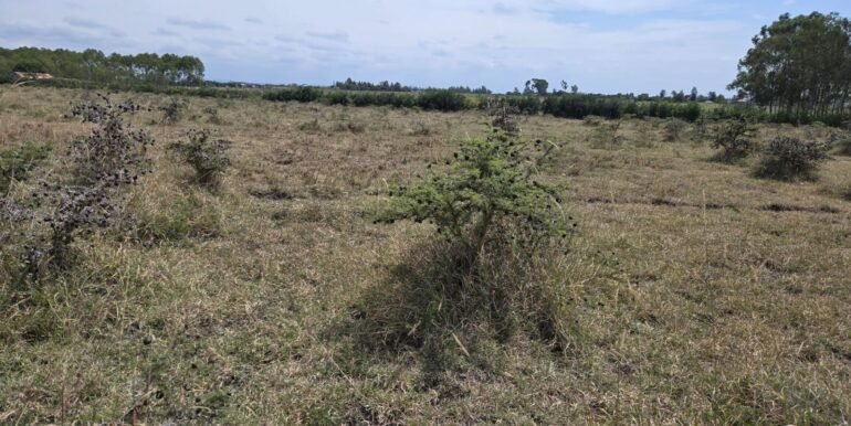 WhatsApp Image 2025-07-14 at 10.04.49_0fd50539