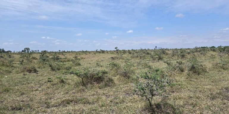 WhatsApp Image 2025-07-14 at 10.04.49_87698fe3