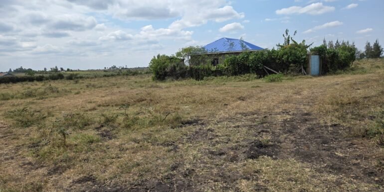 WhatsApp Image 2025-07-14 at 10.04.50_11ed17e3