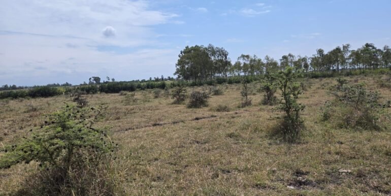 WhatsApp Image 2025-07-14 at 10.04.50_37ea9491