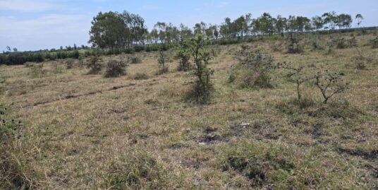 Plots for Sale in Tuala Next to Rockfields