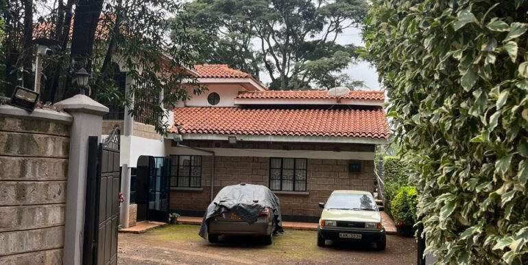 WhatsApp Image 2025-07-16 at 13.50.16_5f6f6917