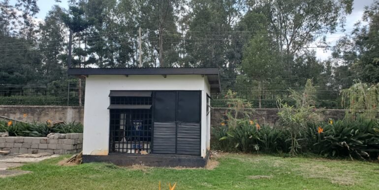 WhatsApp Image 2025-07-21 at 16.22.00_09fb8465