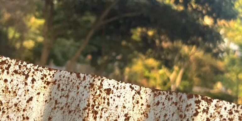 3c634834-9406-41c2-9894-5c510d58cc49