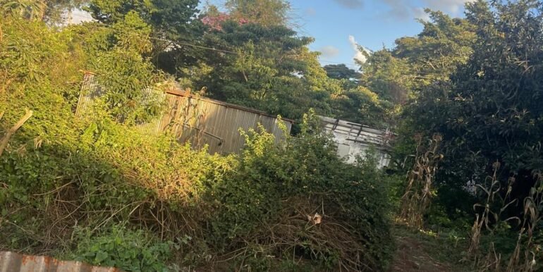 40a810a0-eca4-4253-928f-471c0b1d3cfd