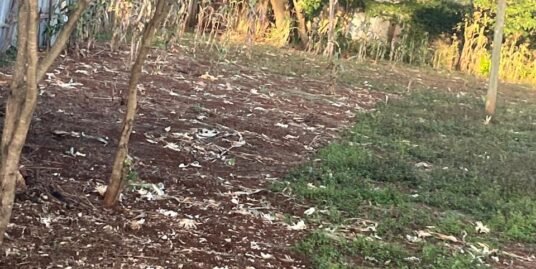 2*0.5 ACRES LAND FOR SALE IN KAREN – NAIROBI CITY