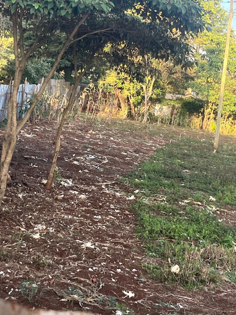 2*0.5 ACRES LAND FOR SALE IN KAREN – NAIROBI CITY