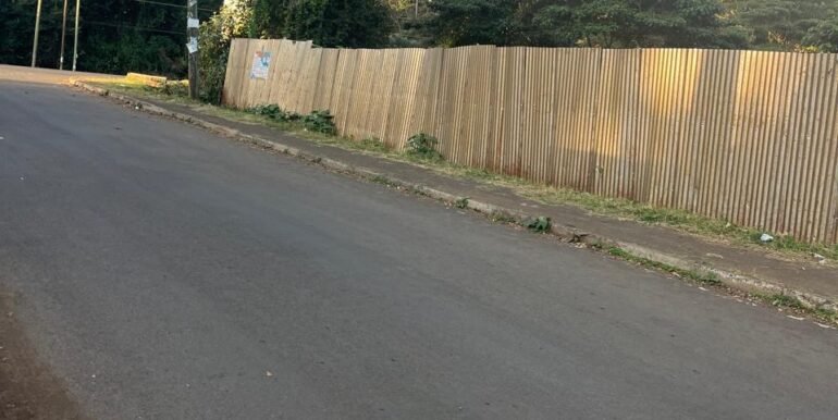 66417d65-507f-439a-9af8-7ae48e5f55ca