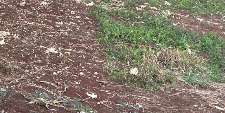 89e319bc-dded-4840-aed8-4acaefcb7c2f