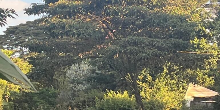 92801093-c304-4302-9b17-2e585340381f