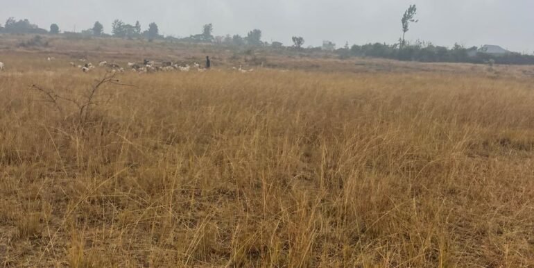 WhatsApp Image 2025-09-16 at 13.42.40_bad7c51b