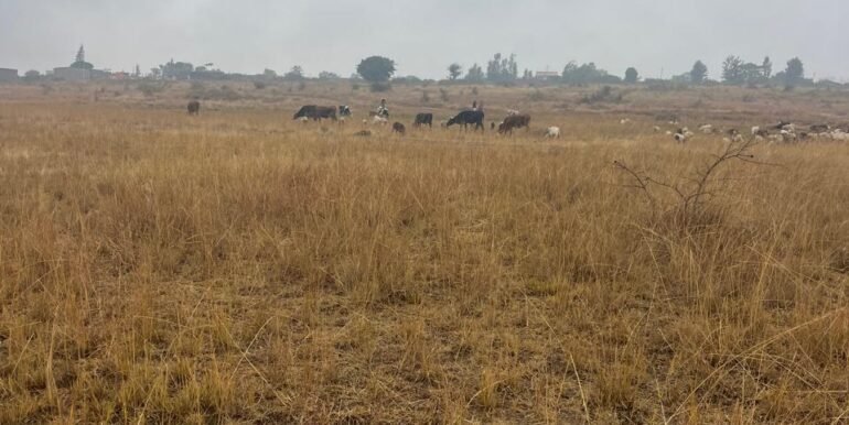 WhatsApp Image 2025-09-16 at 13.42.51_54fe9d8c