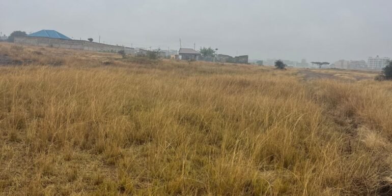 WhatsApp Image 2025-09-16 at 13.42.52_9f731043