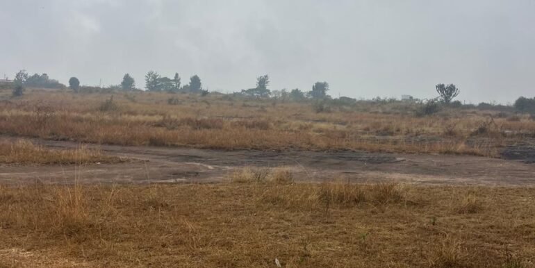 WhatsApp Image 2025-09-16 at 13.42.52_a6955c39