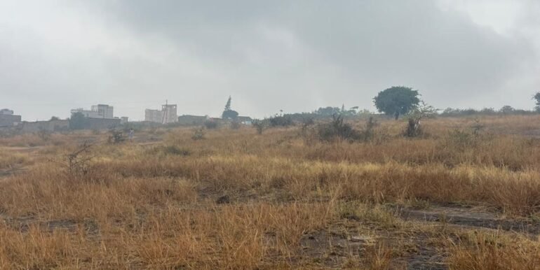 WhatsApp Image 2025-09-16 at 13.42.53_780b7bc3