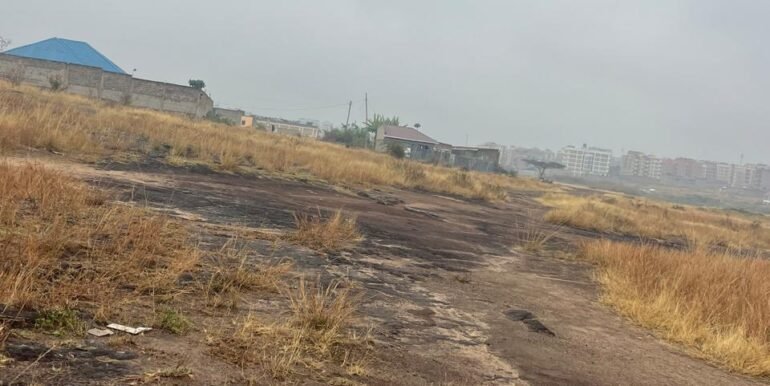 WhatsApp Image 2025-09-16 at 13.42.53_bcb5fa7b