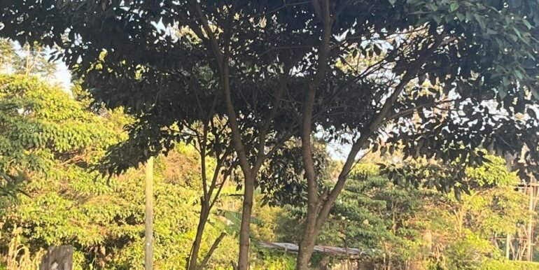 e31c2890-0f9f-4e2f-b9d6-6165e5dadc17