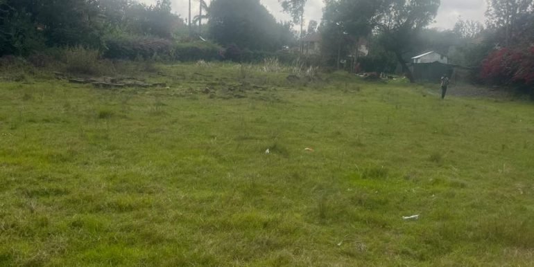 WhatsApp Image 2026-03-24 at 12.22.00