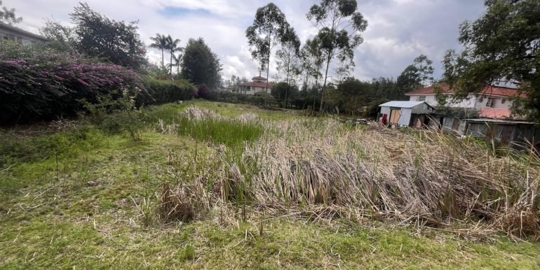 WhatsApp Image 2026-03-24 at 12.22.01