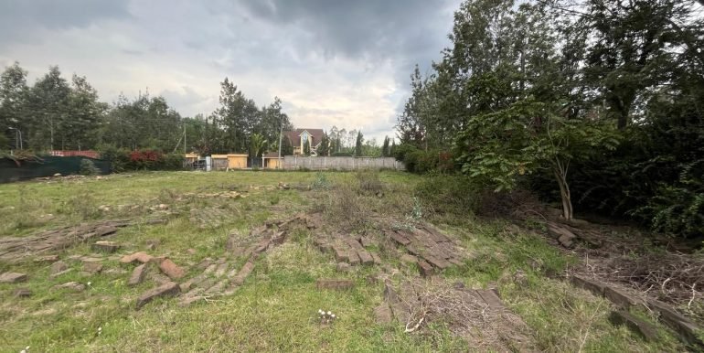 WhatsApp Image 2026-03-24 at 12.22.02