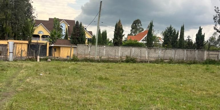 WhatsApp Image 2026-03-24 at 12.22.05